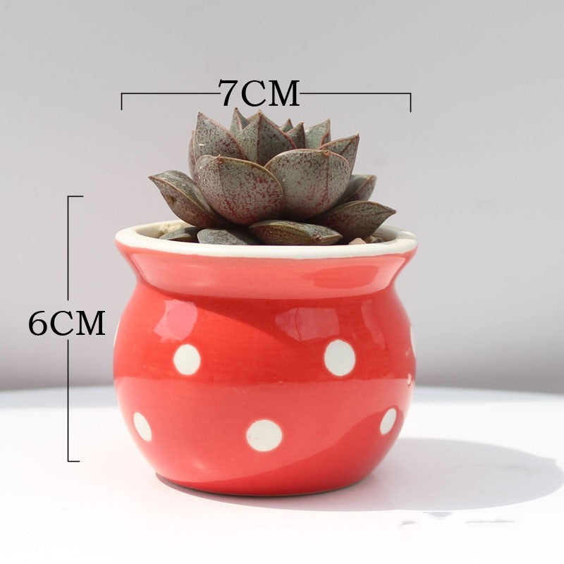 Succulent Flower Pot Ceramic Flower Pot Thumb Pot