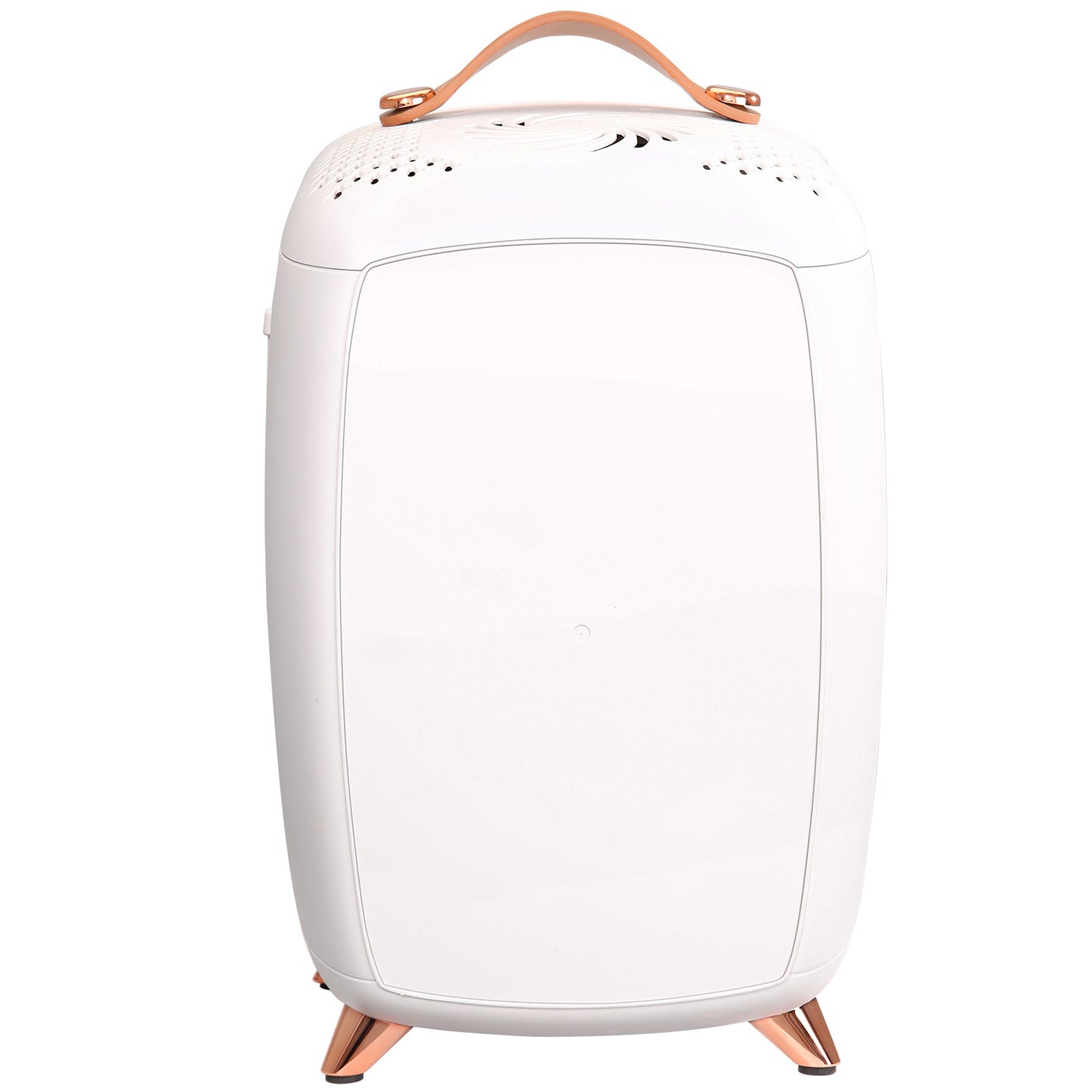 Vevor Mini Fridge For Bedroom, 6L Luxury Skin Care Fridges With Mirror And LED Light, AC DC Cosmetic Fridge For Office Dorm Car, Small Makeup Refrigerator For Beauty Face Mask Beverage Chill, White ShopWithASmile7.com
