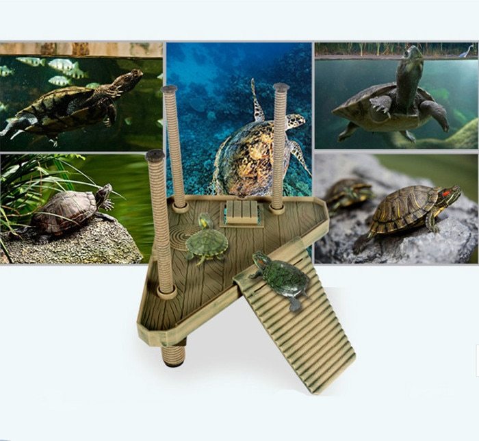 Turtle back drying platform