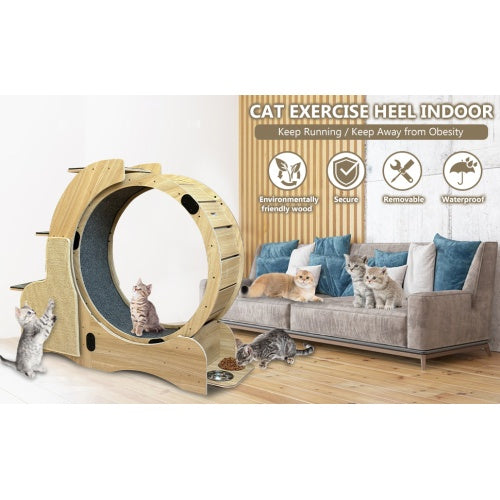 5-in-1 Cat Sports Running Wheel, Cats Wheel Wood Climbing Frame, Cat Litter Fitness Wheel, Oversized Roller Cat Indoor Activity Center,Large ShopWithASmile7.com
