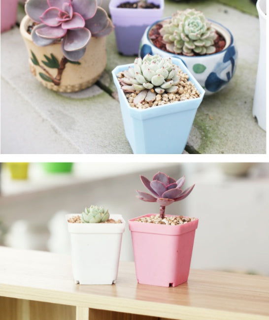 Plastic thick black square flower pot