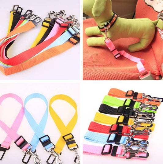 Fixed Strap Polyester Dog Strap Dog Leash Dog Leash ShopWithASmile7.com