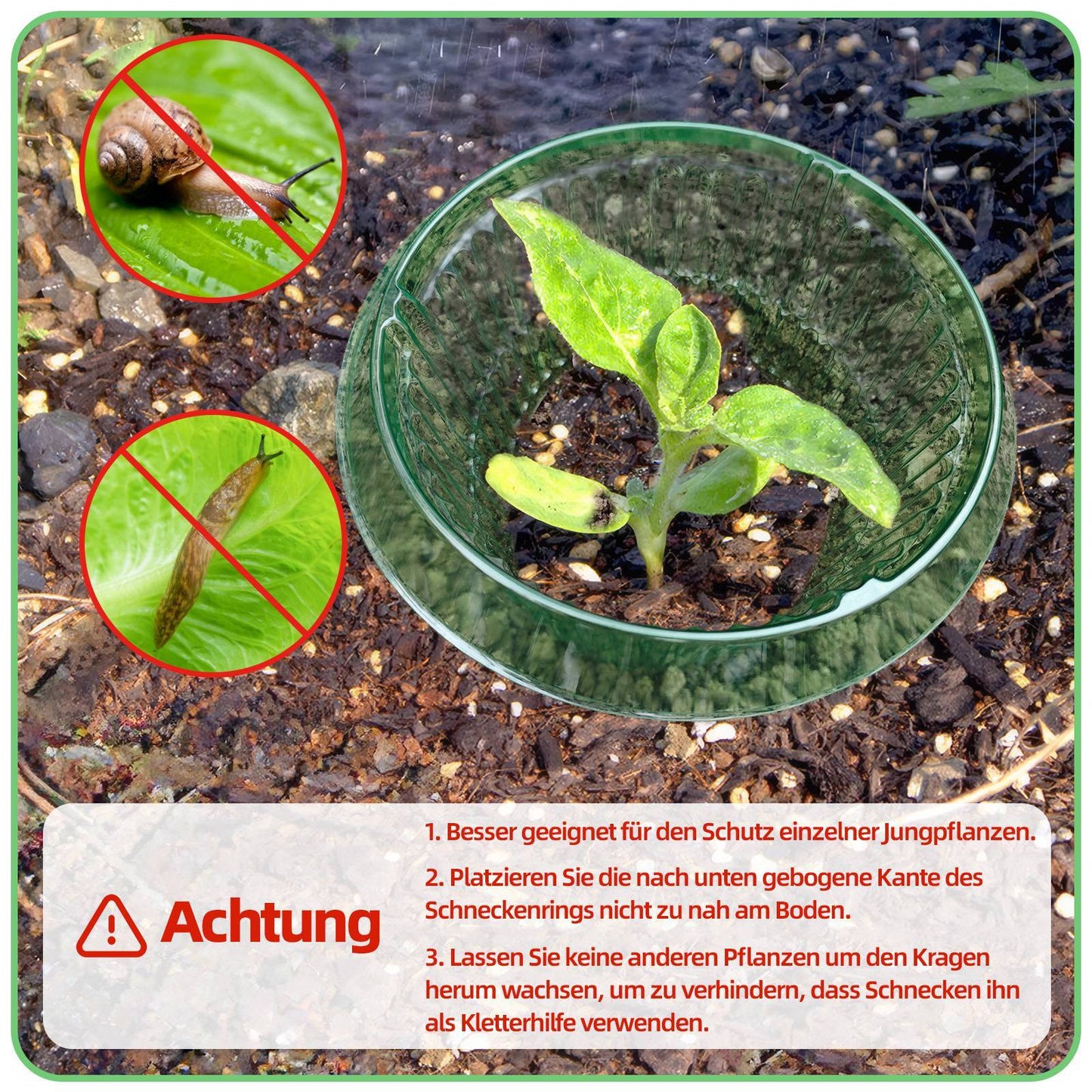 15 Pieces Snail Protection Rings, Effective Snail Protection For Lettuce And Cabbage