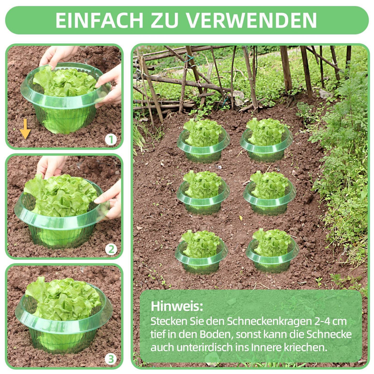 15 Pieces Snail Protection Rings, Effective Snail Protection For Lettuce And Cabbage