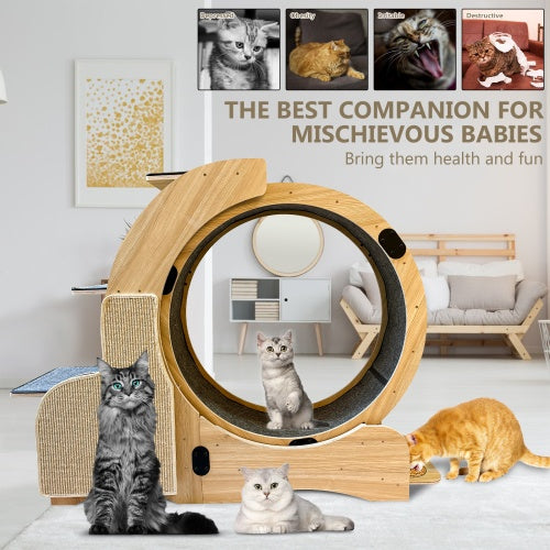 5-in-1 Cat Sports Running Wheel, Cats Wheel Wood Climbing Frame, Cat Litter Fitness Wheel, Oversized Roller Cat Indoor Activity Center,Large ShopWithASmile7.com