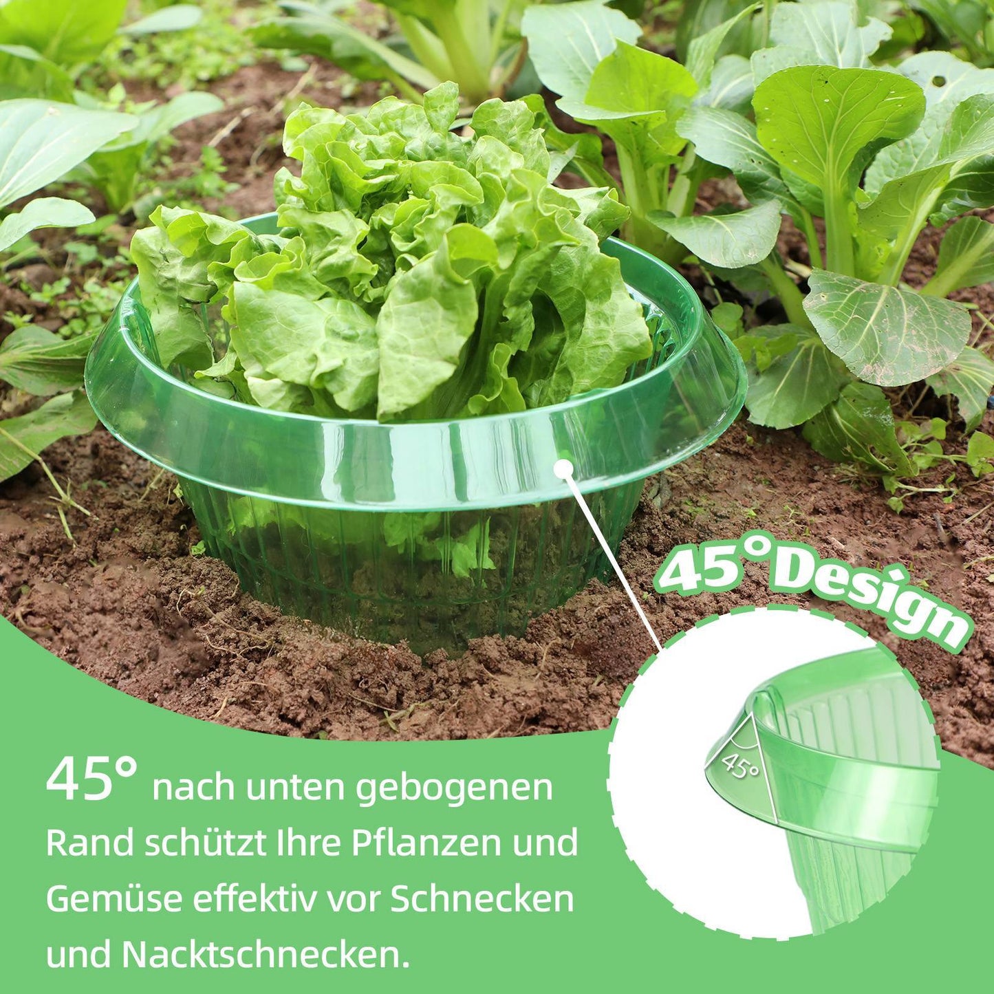 15 Pieces Snail Protection Rings, Effective Snail Protection For Lettuce And Cabbage