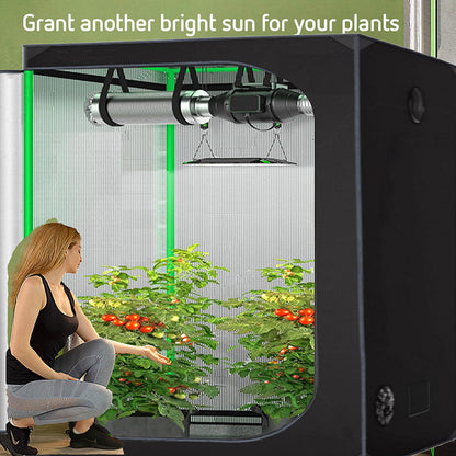 Winter Tent For Plant Growing