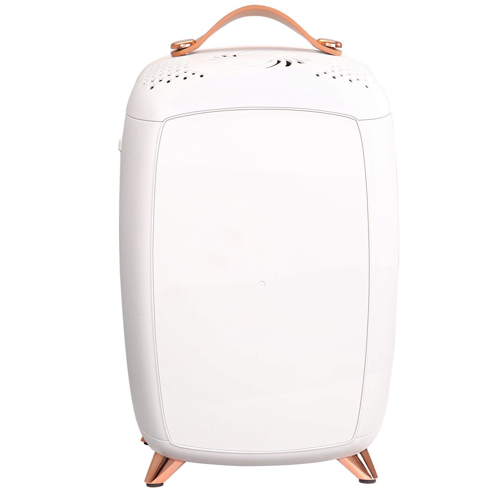 Vevor Mini Fridge For Bedroom, 6L Luxury Skin Care Fridges With Mirror And LED Light, AC DC Cosmetic Fridge For Office Dorm Car, Small Makeup Refrigerator For Beauty Face Mask Beverage Chill, White ShopWithASmile7.com