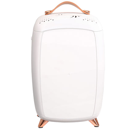 Vevor Mini Fridge For Bedroom, 6L Luxury Skin Care Fridges With Mirror And LED Light, AC DC Cosmetic Fridge For Office Dorm Car, Small Makeup Refrigerator For Beauty Face Mask Beverage Chill, White ShopWithASmile7.com
