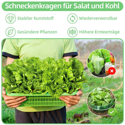 15 Pieces Snail Protection Rings, Effective Snail Protection For Lettuce And Cabbage