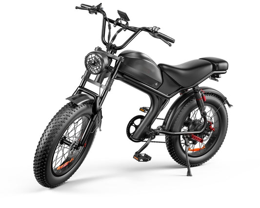 C93 20-Inch Fat Tire E-Bike – 48V 20Ah Removable Battery, 50KM/H Speed, Dual Shock Absorbers