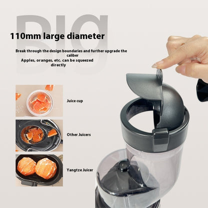 Fruit Household Portable Electric Juicer