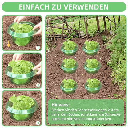 15 Pieces Snail Protection Rings, Effective Snail Protection For Lettuce And Cabbage