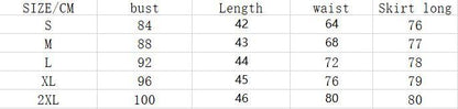 Fashion Casual Urban Leisure Women's Clothing Skirts Suit ShopWithASmile7.com